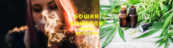 гашик Алексеевка