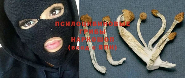 гашик Алексеевка